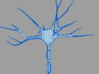 Нейроны 400x400 18kb