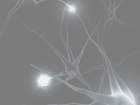 Нейроны 276x350 12kb